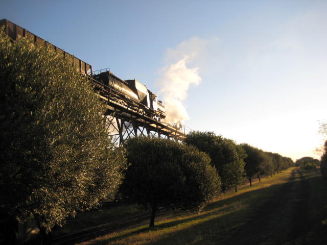3664 in the evening sun