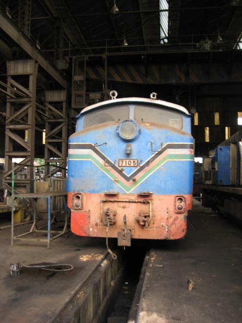 7105_IMG_4351.JPG