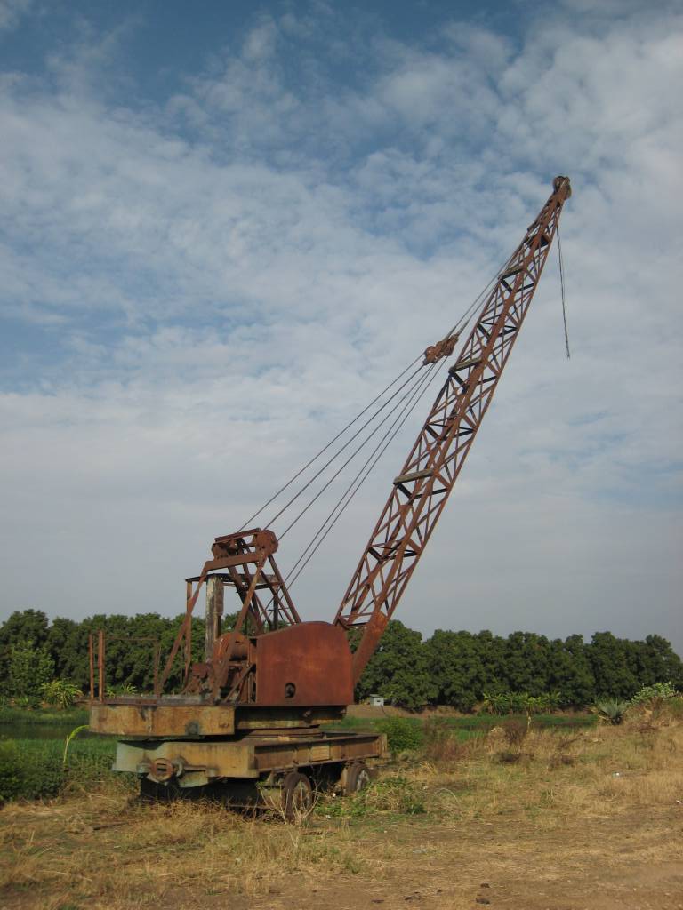 IMG_0252_70pc_juba_crane_by_nile.jpg