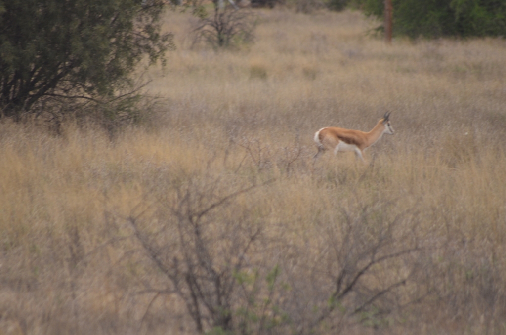 DSC_0295.JPG