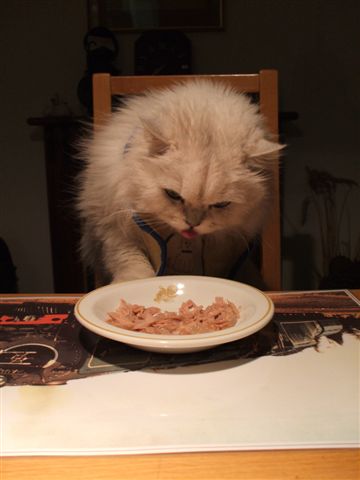 Storm at dinner