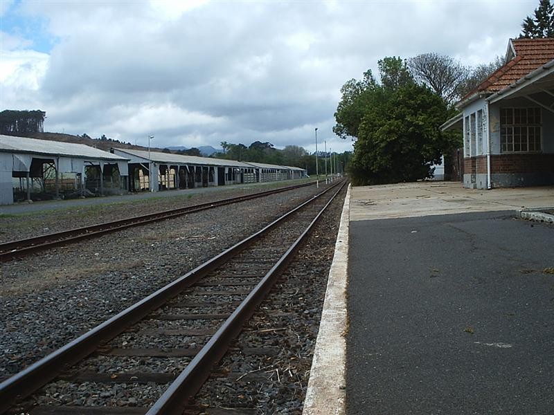 Elgin_07.JPG