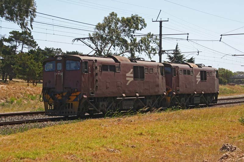 These two have been in Cape Town and paired up for the last 4 years 1813 and 1816