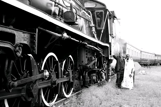 The train 3