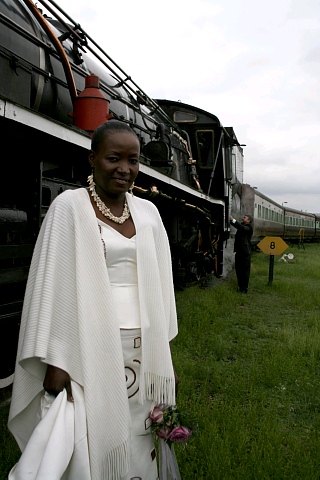 The train 1