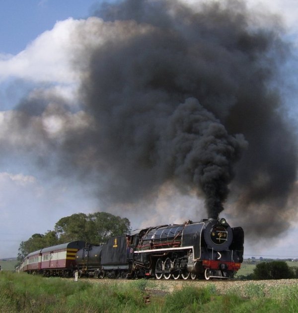 SSA41649 - Copy.JPG
