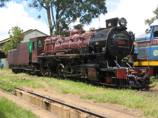 3020 basks in the sun