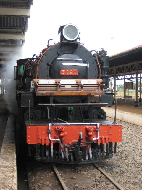 The seat, before it got surrounded by flags and foliage