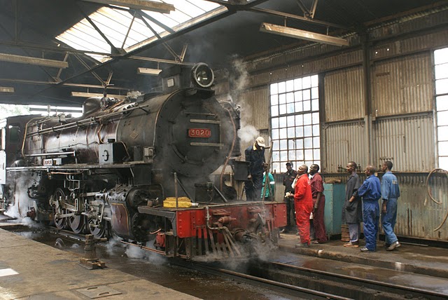 3020 on shed