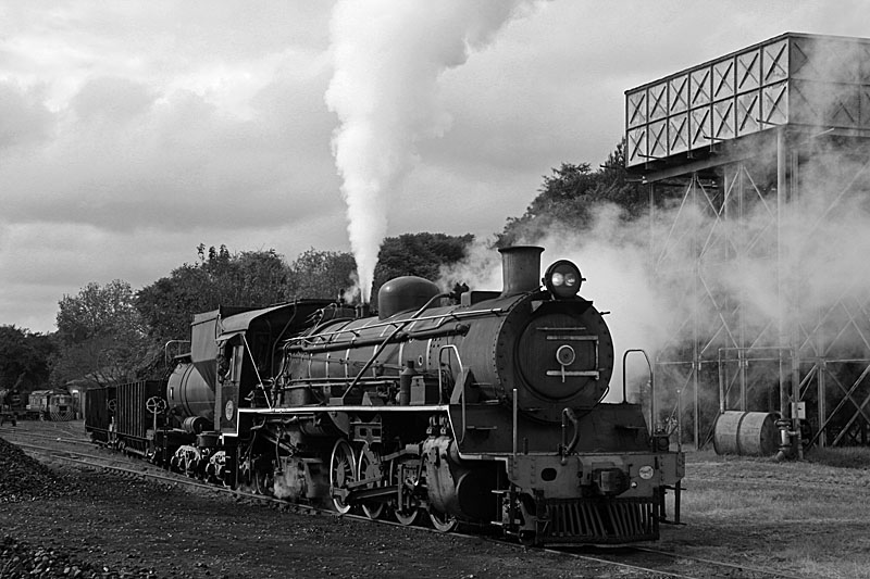 3664 takes a breather between runpasts