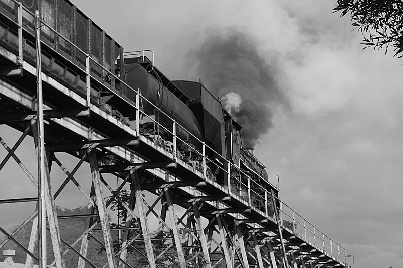 The sun suddenly finds the loco as she descends the coalstage