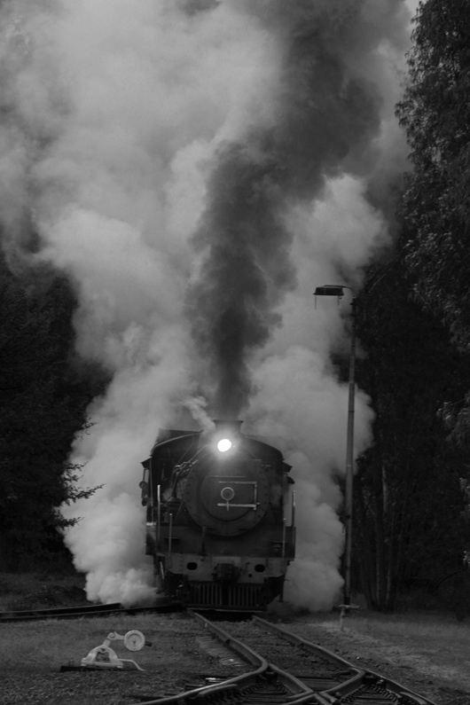 The little 24 is shrouded in mist and steam as she emerges from her corner of the depot