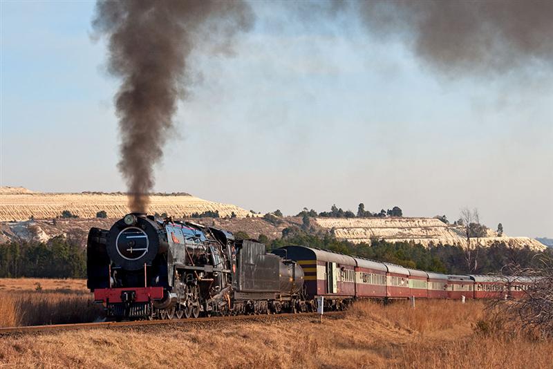 _DSC5070 (Medium).jpg