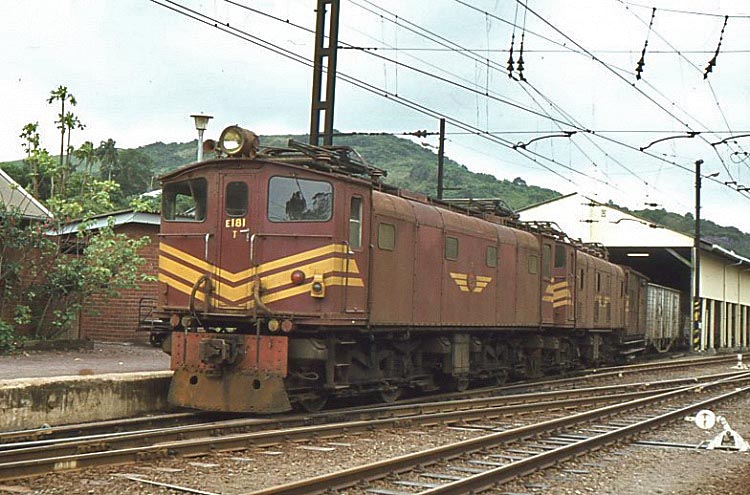 A rare photo of 1E's in Natal come in at third spot this month