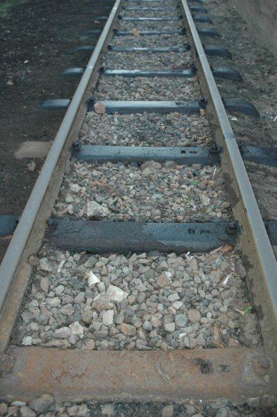 Photo by Nathan Berelowitz, 11/07/2010