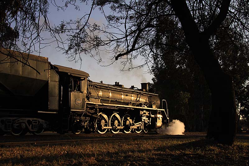 july2010 154z.jpg
