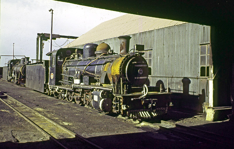 NG15 no 18 at Humewood Road, 1974. Picture: Dennis Mitchell.