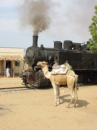Camel power in Eritrea