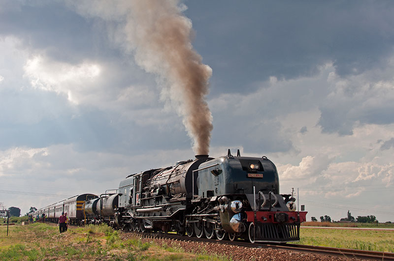_DSC8699.jpg