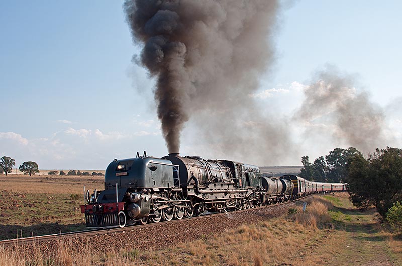 _DSC8750.jpg