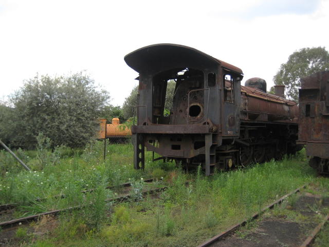 A fireless loco nestles in the undergrowth in the background, with SANRASM's 3366 in the forground