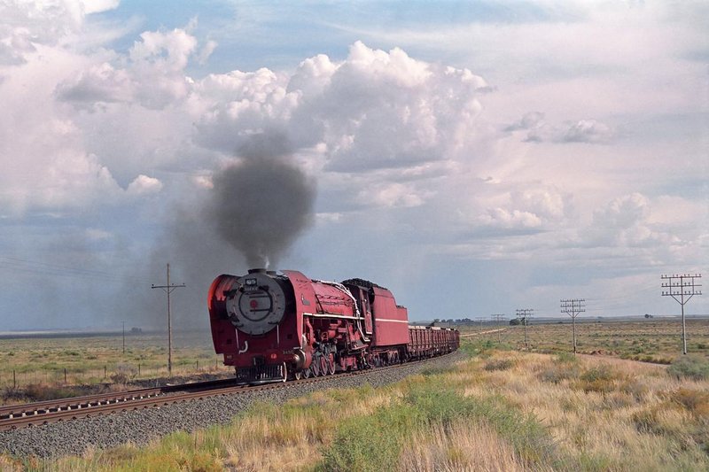 3450-train2447-19911215-Potfontein.jpg