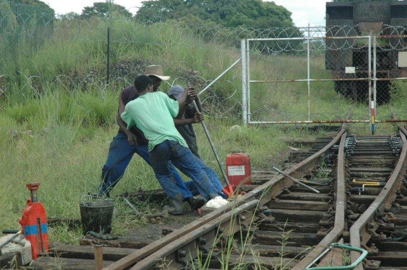 hermanstad january progress 2011 010.jpg