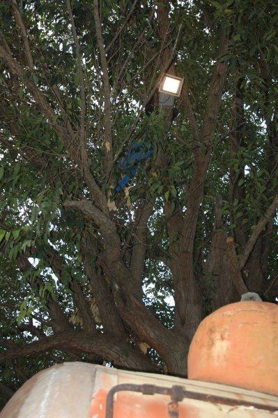 A bit confusing, but so it is meant to be. The tree houses the floodlight to illuminate the fireless locomotive area. The blue form in the tree is our man on a limb, Welcome, who is making the necessary adjustments.