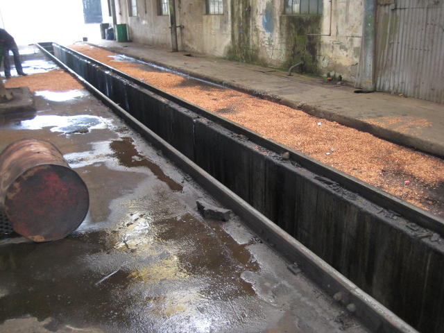 One of the side-effects of oil-fired locos. Wood shavings are put down to absorb spilt oil before it is swept up