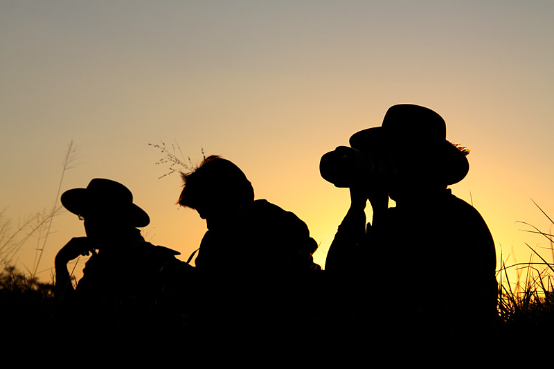 The bank of photographers capturing the action is silhouetted at sunset.