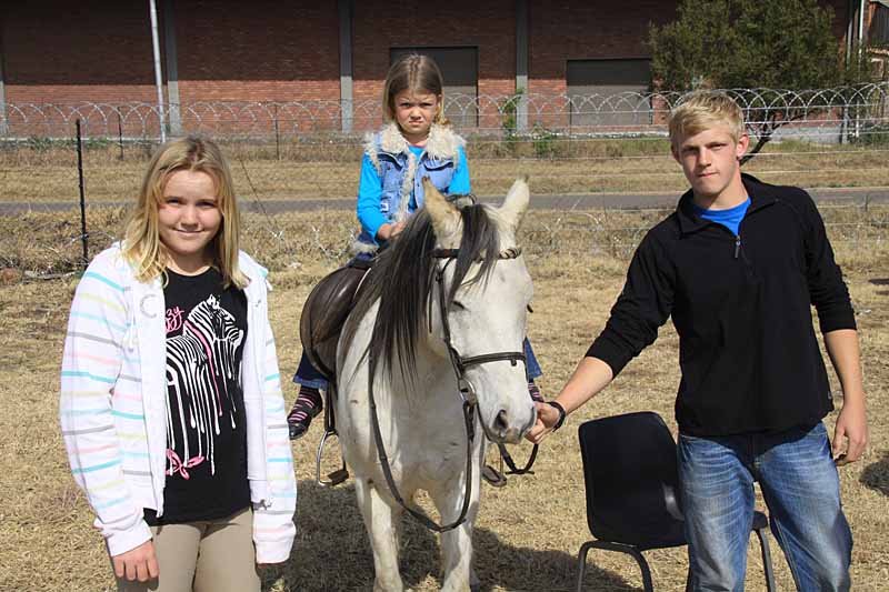 My children Georgia and Warren took control of the pony rides. Main star was Savanna, our pony who did over 30 journeys!