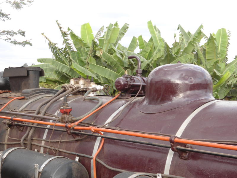 Steam and banana leaves in rural Kenya? No; actually this photo is taken just outside the gate of the workshop while we are standing to take sand