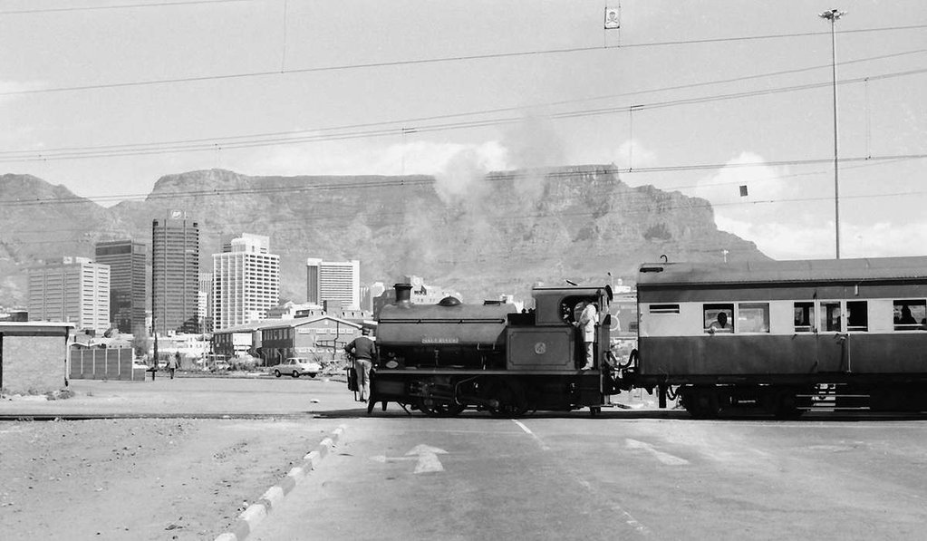 Pug CT Harbour 2-1200.jpg