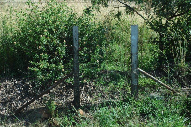 Once the gateway to the Panpoort railway communities' houses, when that station was manned. Perhaps small children would stand here and watch the passing steam parade.