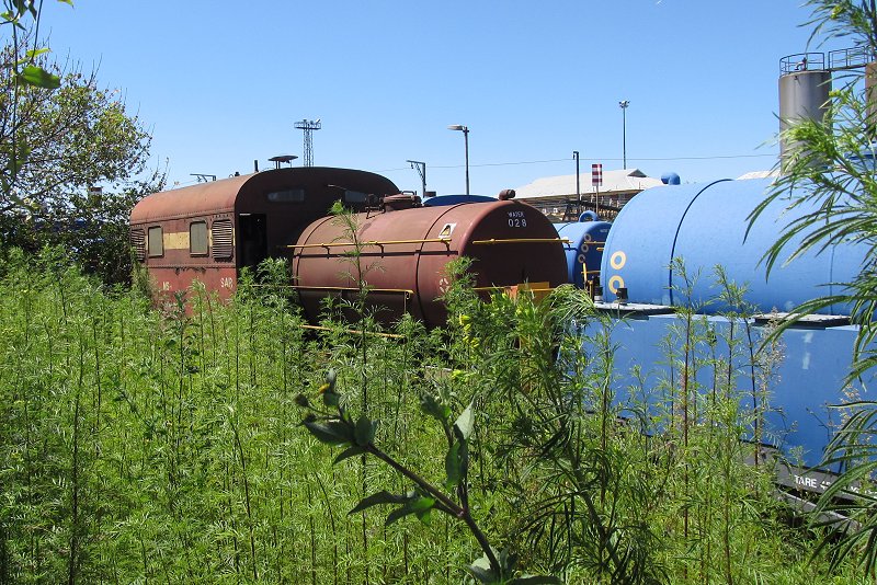 Steam heater in SAR colours