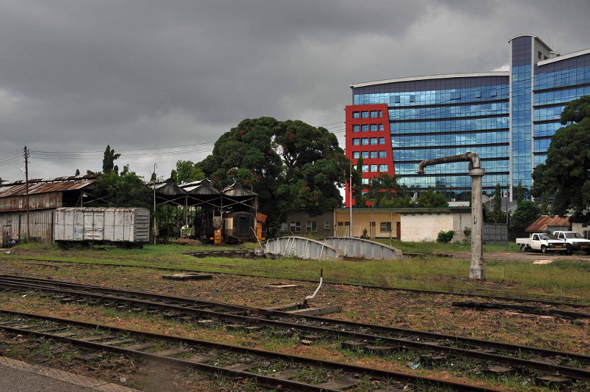 Dar shed