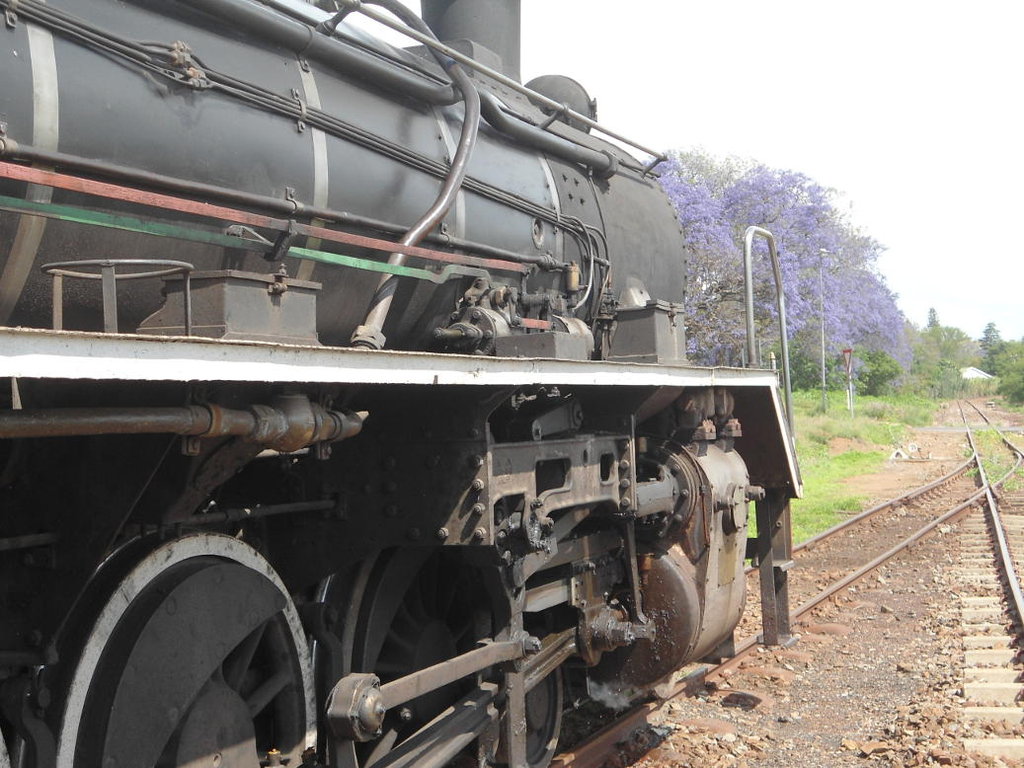 Jacaranda season in Cullinan