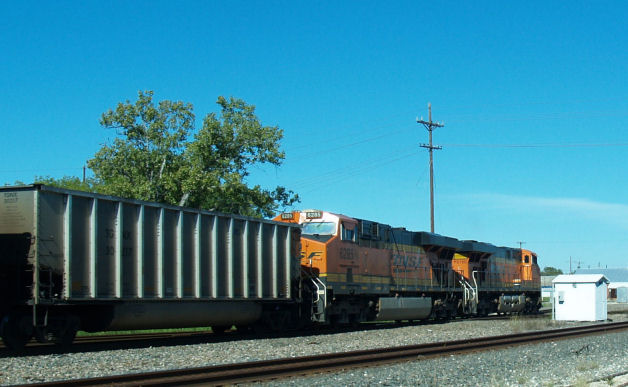PA295307.JPG