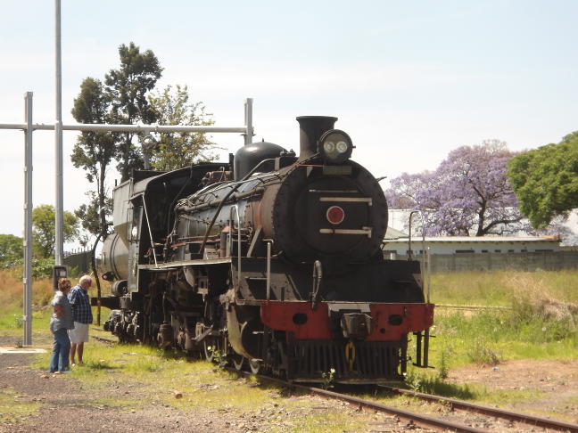 A jacaranda tree blossoms in the background as 3664 stands at the water column at Cullinan