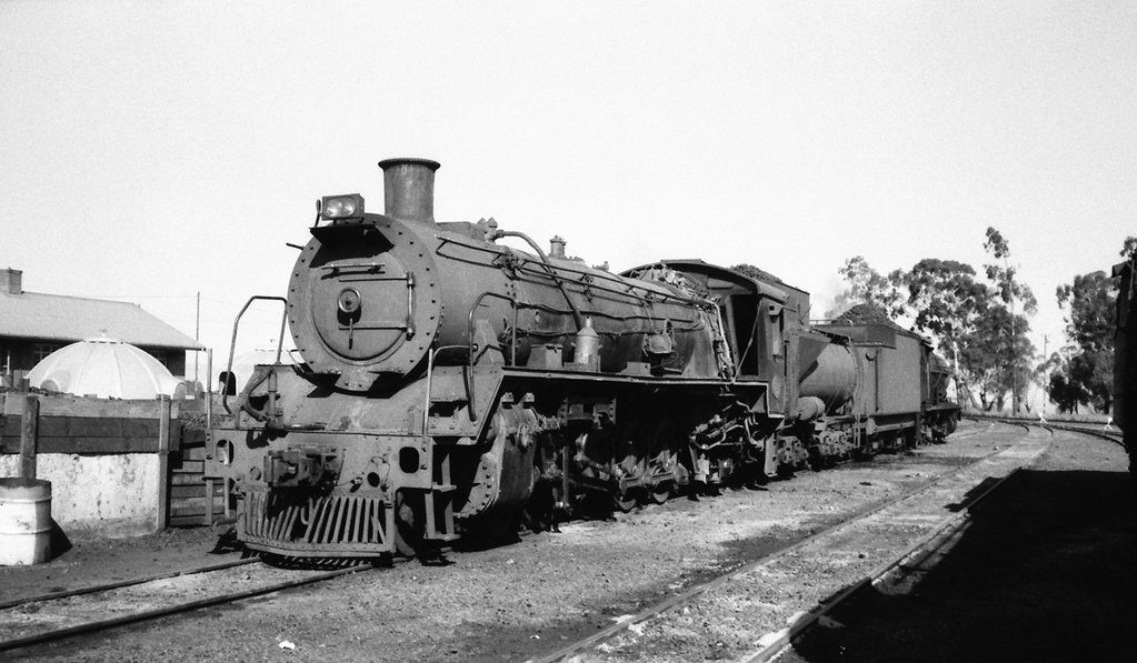 19D 2706 with S2 tender from 3792 at Volksrust shed 30-6-82 WS.jpg