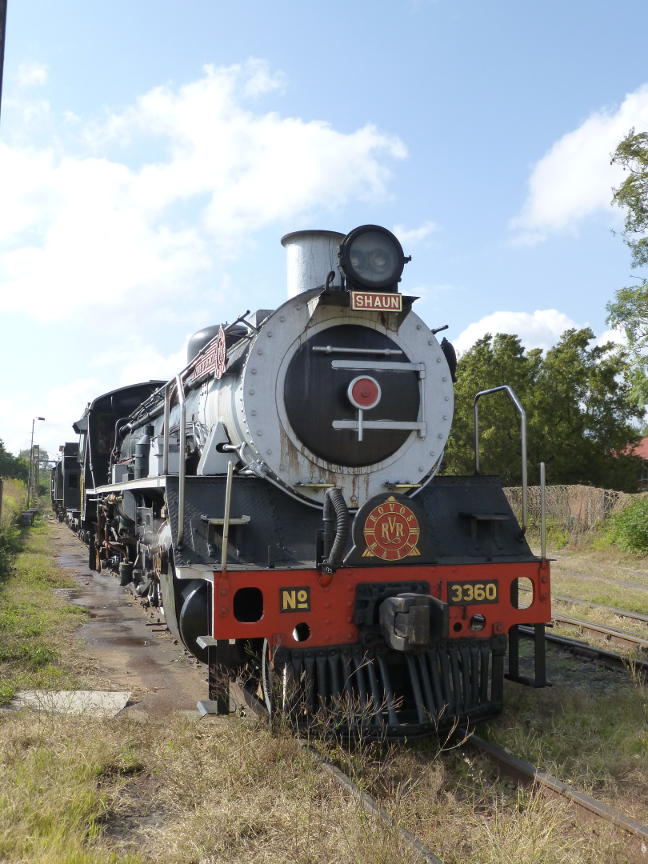 Rovos Rail kindly lent us their 19D no 3360 after our own Dolly failed with a leaking tube. 3360 stands on the pit for attention to her grease pads.
