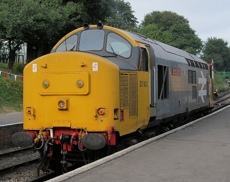 Class 37-901 "Mirrlees Pioneer"