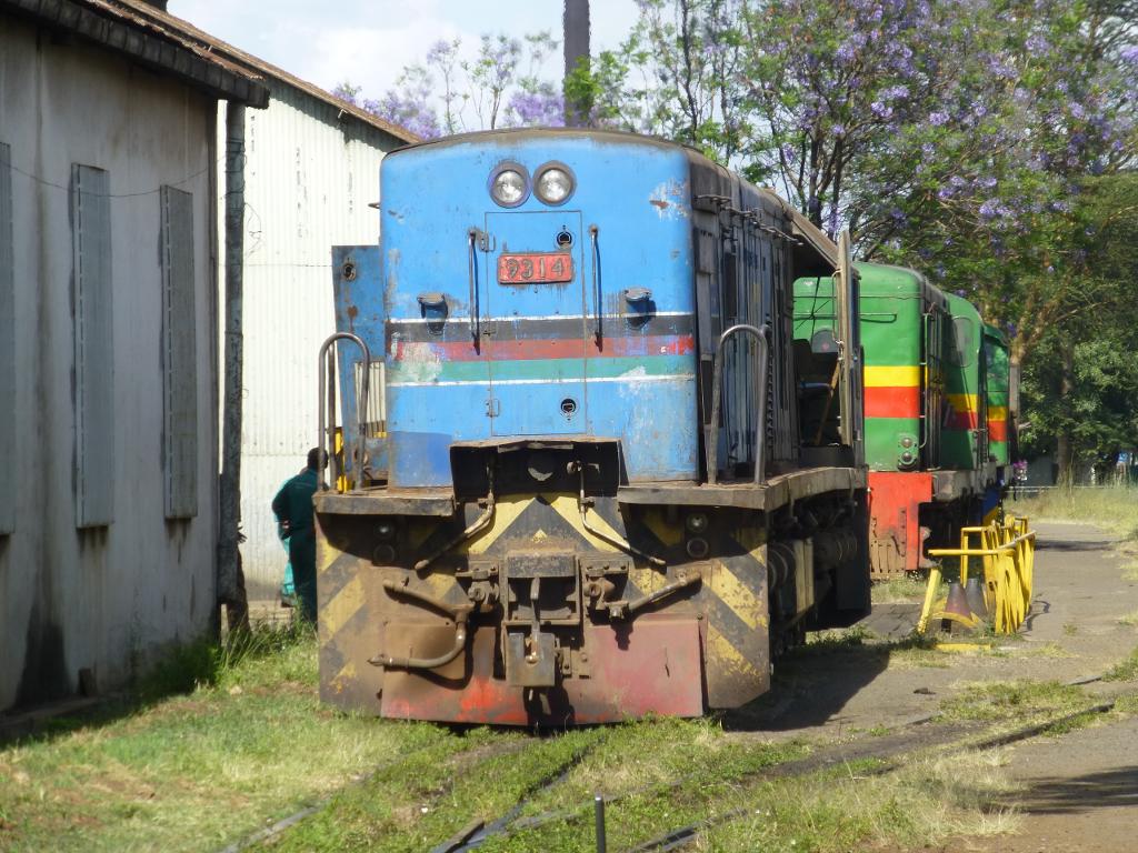 Another visitor to our neck of the woods - 9314