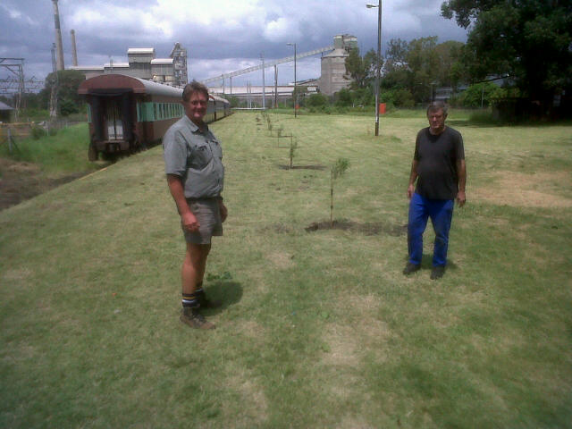 Trees planted. Les and Steve look proudly at their work.