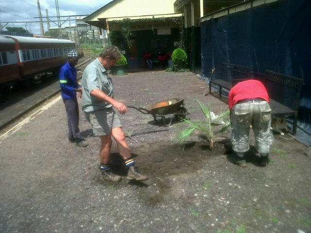 Planting trees. Les puts the boot in.