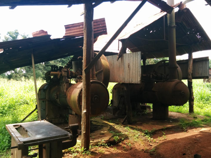 Another view of the Rustons.