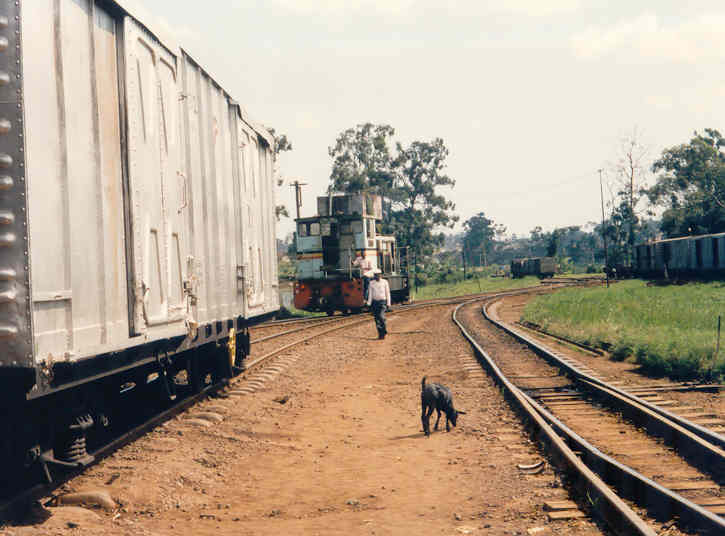Diesel shunter