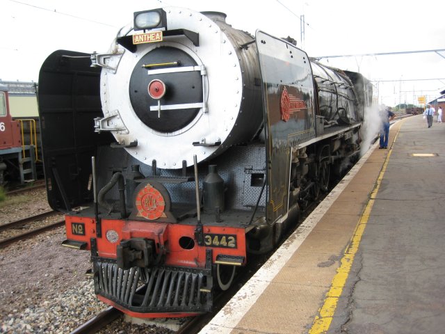 3442