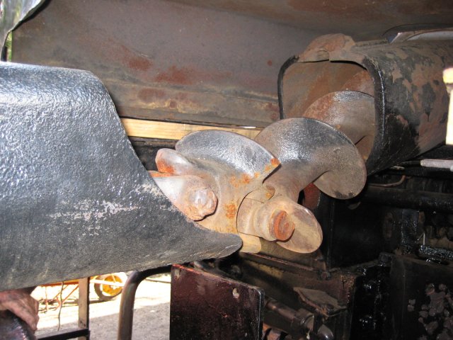 The stoker worm goes into its tunnel