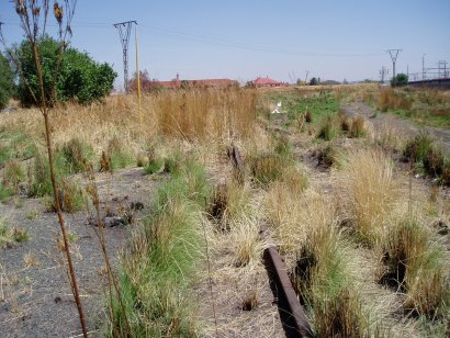 Salvokop 2<br /><br />Photo by John Ashworth 05/10/06